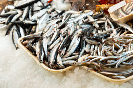Fresh anchovies for sale at marketの写真素材