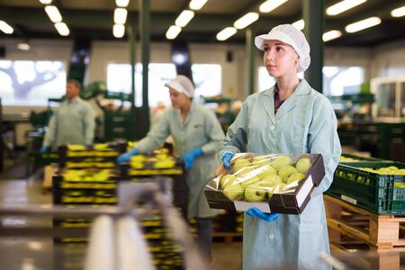 Woman  holding crate with apples during packaging at warehouseの写真素材