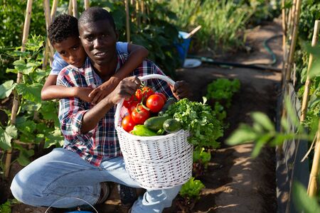 Portrait farmer and son with harvest of tomatoes, bell pepers and parsley from the gardenの写真素材