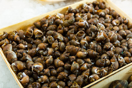 Close up of fresh escargots (snails) in wooden box