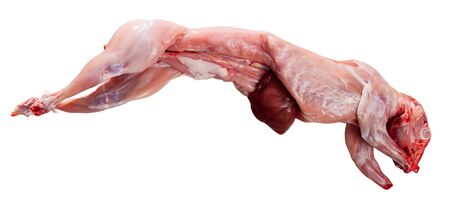 Whole fresh raw rabbit ready to be cooked. Healthy dietary food. Isolated over white backgroundの写真素材
