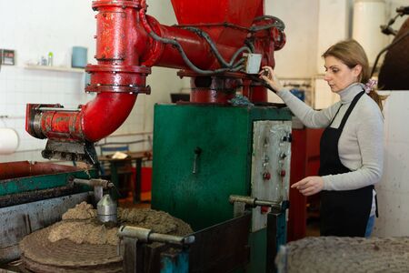 Skilled woman engaged in olive oil production spreading milled olives on fiber disks to pressの写真素材