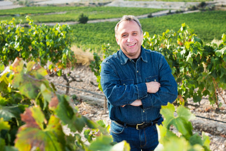 Man aged costs in a grapevine and holds grapes cluster