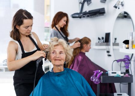 Friendly woman stylist performing hair styling with electric hair curler for senior lady in salonの写真素材