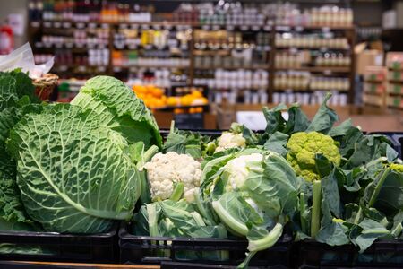 View of showcase with fresh white headed cabbage, cauliflower, broccoli and broccoflower in greengrocery

の写真素材