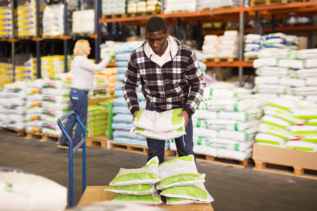 Adult African American man working in fertilizer warehouse, stacking bags on trolley