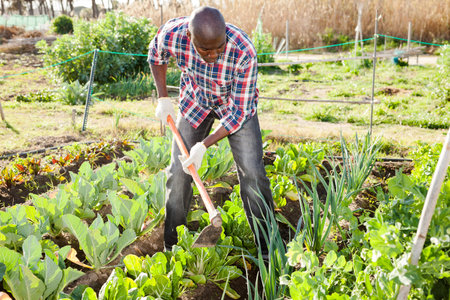 Young African male gardener gardening outside in spring nature