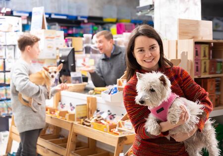 Cheerful female visitor with west highland terrier dog in petshopの写真素材