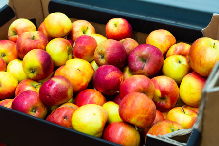 Fresh apples on counter in food market