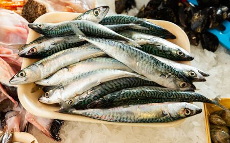 Fresh chilled atlantic mackerel on crushed ice in open showcase of fish storeの写真素材