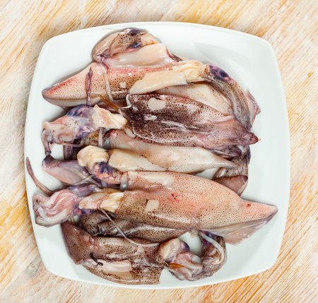 Raw squid on a white plate