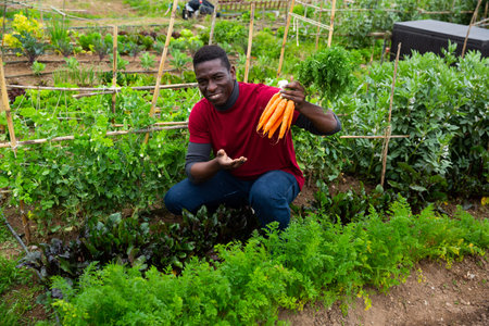 Portrait of satisfied african-american farmer holding carrots in garden