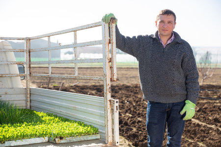 Confident farmer stands near to truck with lettuce seedlingsの写真素材