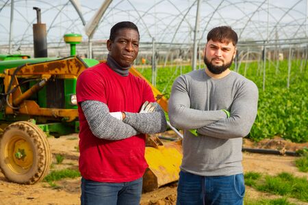 Portrait of two professional gardeners standing near tractor in greenhouseの写真素材