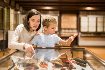 Young woman with son observing with interest exhibition under glass in art galleryのeditorial素材