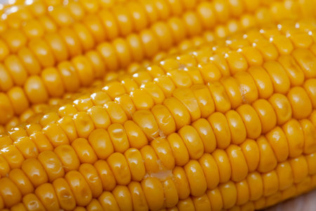 Closeup view of freshly cooked corncobs. Golden textured background