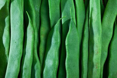 Image of fresh green beans on wooden surface in home kitchenの写真素材
