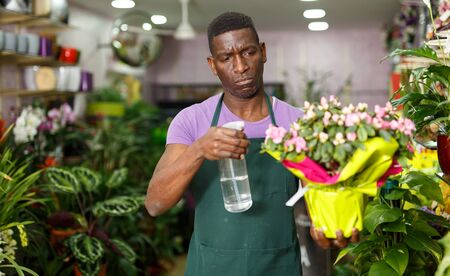Experienced African-American male florist spraying potted flowers in flower shopの写真素材
