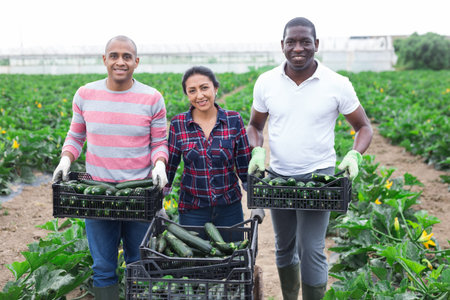 Portrait of successful male and female farmers of different nationalities standing on farm...