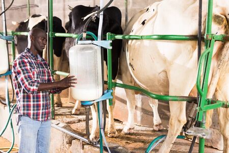 Portrait of farmer man staning near cow milking machines indoor at farmの素材 [FY310150156944]