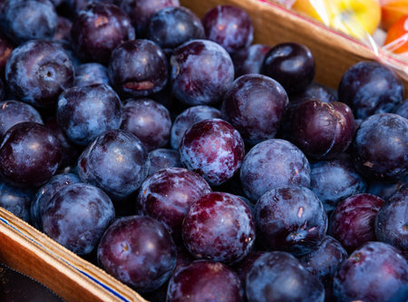 Fresh tasty plums, harvest from garden