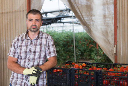 Portrait of confident farm owner next to crates full of ripe tomatoes