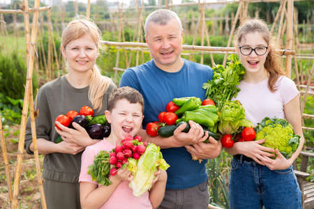 Happy family with fresh harvest in backyard gardenの写真素材