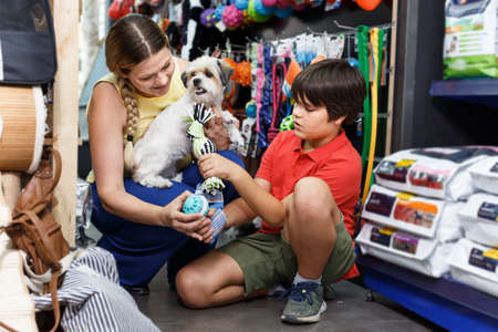 Positive female with preteen boy and small dog choosing pet suppliesの写真素材