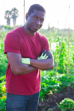 Portrait of happy afro american farmer with arms crossed on plantation