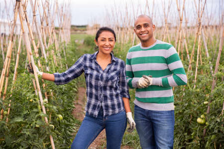 Portrait of couple of farmers next to tomato seedlingsの写真素材