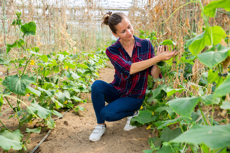 Female making supports for cucumbers