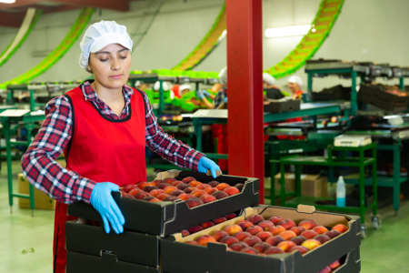 Woman in uniform holding crate of peaches during sorting at warehouseの写真素材