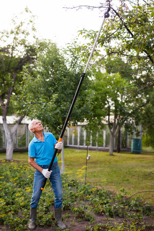 Man trimming bough of an apple tree