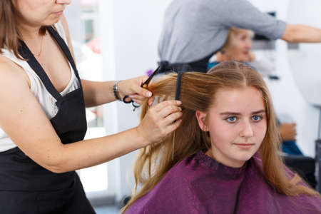 Closeup of teen girl getting haircuttingの写真素材