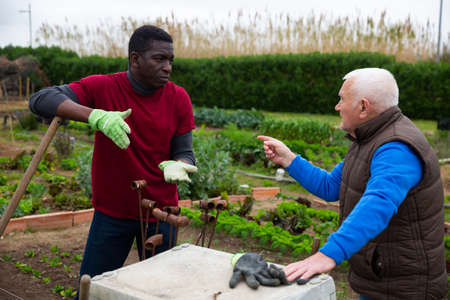 Elderly farmer scolding African workerの写真素材