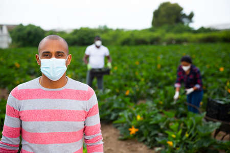 Portrait of latino farmer in protective maskの写真素材