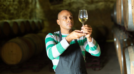 Latin american vintner examining wine in winery basement