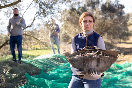 Woman showing harvest of olives