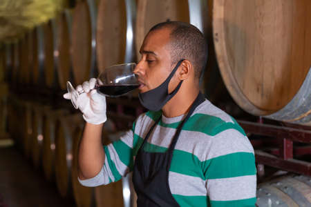 Worker of winery testing wine in glassの写真素材
