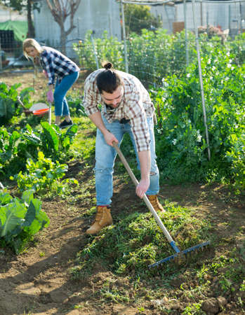 Man and woman gardening with toolsの写真素材