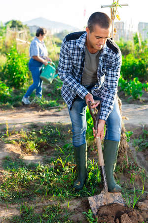 Man gardener digging soil in vegetable gardenの写真素材