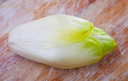Fresh Belgian endive head on wooden surface