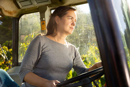 Female farmer driving farm tractor in vineyardの写真素材