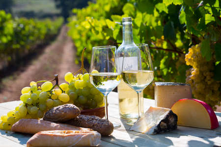 Tasty cheese, wine, grapes and bread on table in vineyardsの写真素材