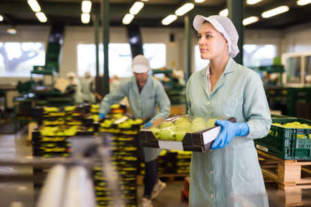 Nice woman in uniform holding crate with applesの写真素材