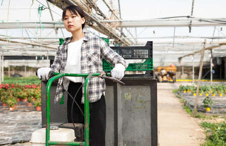 Portrait of chinese female farmer working on self-propelled trolley in orangeryの写真素材