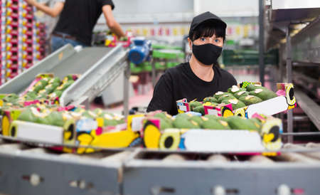 Woman in mask carrying box with avocadosの写真素材