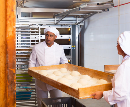 Skillful people working at bakery, transfer the prepared baking tray to oven