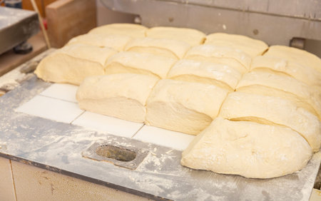 Prepared raw dough on tray in bakery