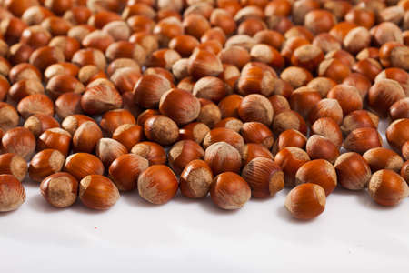 Raw filberts on white backgroundの写真素材